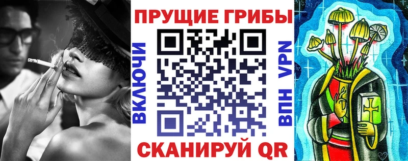 Галлюциногенные грибы Psilocybine cubensis  Баймак 
